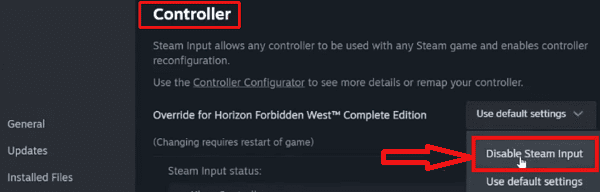 disable-steam-input